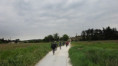 /album/12-avril-st-etienne-descattes/v-527-a-jpg/